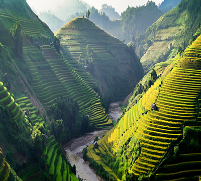 Bali tropical landscapes
