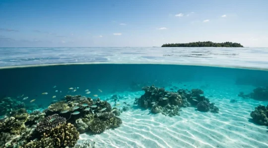 Pristine tropical island lagoon with exceptional underwater visibility showing coral reef through crystal-clear turquoise water