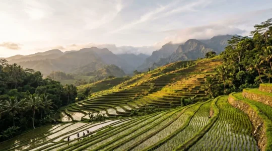 Cascading emerald rice terraces carved into steep mountain slopes on a tropical island at golden hour