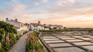 Scenic view of whitewashed village houses with green shutters along salt marshes on Île de Ré, Atlantic coast of France
