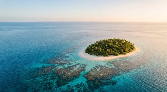 Aerial view of pristine island ecosystem showing coral reefs and coastal biodiversity