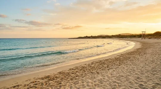 Lifeguarded island beach with designated swimming area boundaries marked by buoys and safety signage at golden hour
