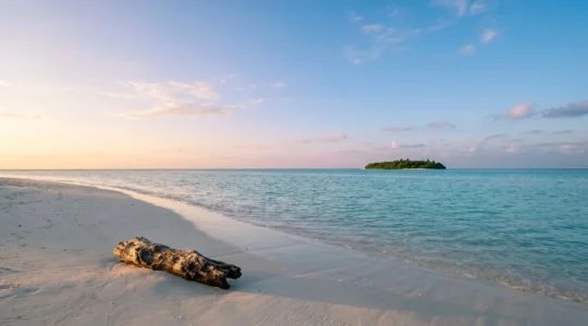 A pristine tropical island beach with turquoise water and untouched white sand, framed by natural vegetation under dramatic morning light