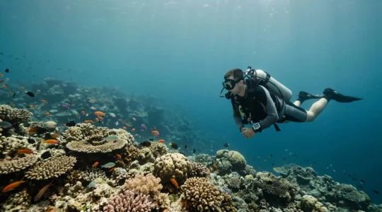 Scuba diver navigating tropical reef at safe recreational depth with proper equipment